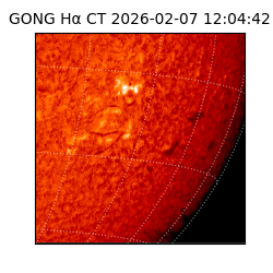 gong - 2026-02-07T12:04:42