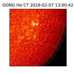 gong - 2026-02-07T13:00:42