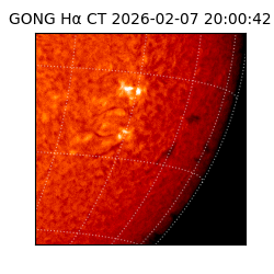 gong - 2026-02-07T20:00:42