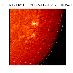 gong - 2026-02-07T21:00:42