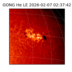 gong - 2026-02-07T02:37:42