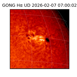 gong - 2026-02-07T07:00:02