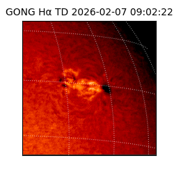 gong - 2026-02-07T09:02:22