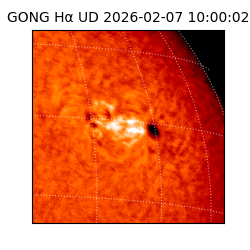 gong - 2026-02-07T10:00:02