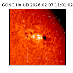 gong - 2026-02-07T11:01:02