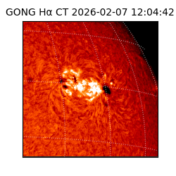 gong - 2026-02-07T12:04:42