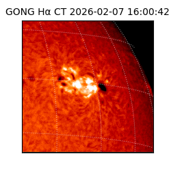 gong - 2026-02-07T16:00:42