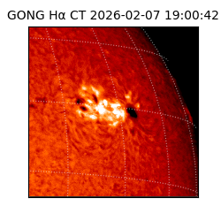 gong - 2026-02-07T19:00:42