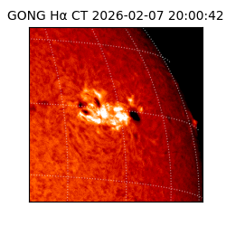 gong - 2026-02-07T20:00:42