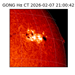gong - 2026-02-07T21:00:42