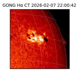 gong - 2026-02-07T22:00:42