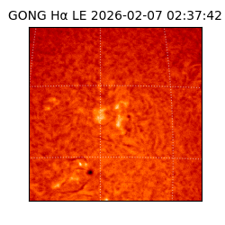 gong - 2026-02-07T02:37:42
