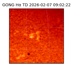 gong - 2026-02-07T09:02:22