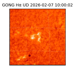 gong - 2026-02-07T10:00:02