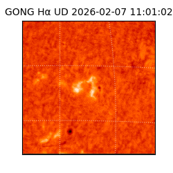 gong - 2026-02-07T11:01:02