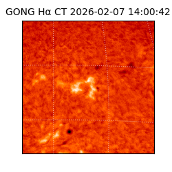 gong - 2026-02-07T14:00:42