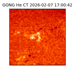 gong - 2026-02-07T17:00:42