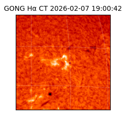 gong - 2026-02-07T19:00:42