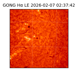 gong - 2026-02-07T02:37:42