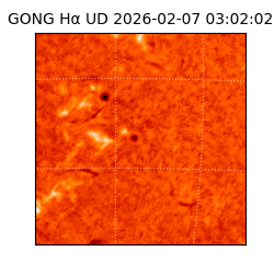 gong - 2026-02-07T03:02:02