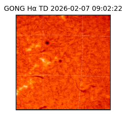 gong - 2026-02-07T09:02:22