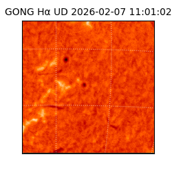 gong - 2026-02-07T11:01:02