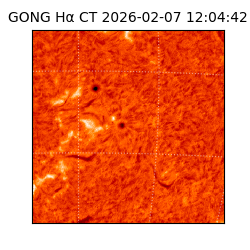 gong - 2026-02-07T12:04:42