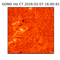 gong - 2026-02-07T16:00:42