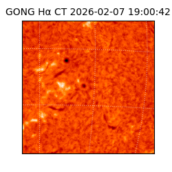 gong - 2026-02-07T19:00:42