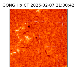 gong - 2026-02-07T21:00:42