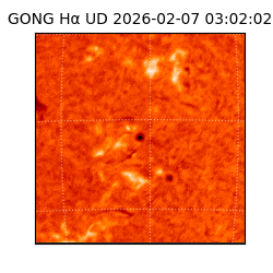 gong - 2026-02-07T03:02:02