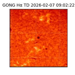 gong - 2026-02-07T09:02:22