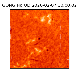 gong - 2026-02-07T10:00:02
