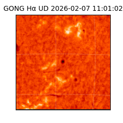 gong - 2026-02-07T11:01:02