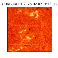 gong - 2026-02-07T16:00:42