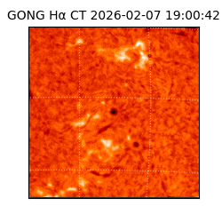gong - 2026-02-07T19:00:42