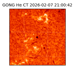 gong - 2026-02-07T21:00:42