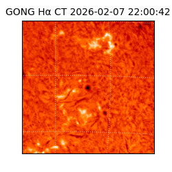 gong - 2026-02-07T22:00:42