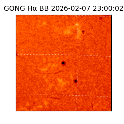 gong - 2026-02-07T23:00:02