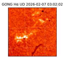 gong - 2026-02-07T03:02:02