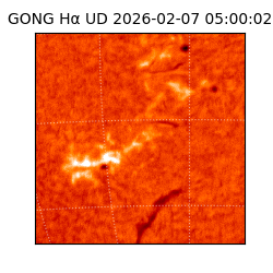 gong - 2026-02-07T05:00:02