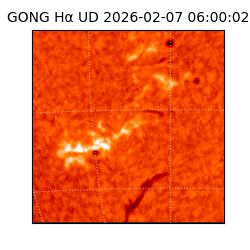 gong - 2026-02-07T06:00:02