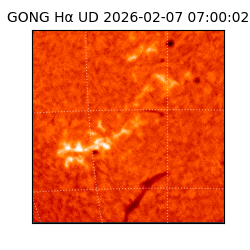 gong - 2026-02-07T07:00:02