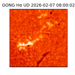 gong - 2026-02-07T08:00:02