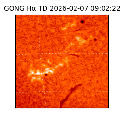 gong - 2026-02-07T09:02:22