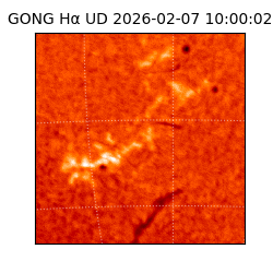 gong - 2026-02-07T10:00:02