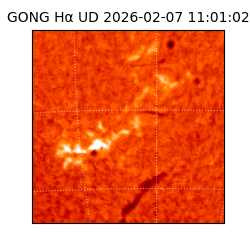 gong - 2026-02-07T11:01:02