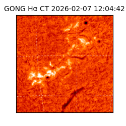 gong - 2026-02-07T12:04:42