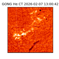 gong - 2026-02-07T13:00:42