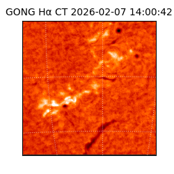 gong - 2026-02-07T14:00:42